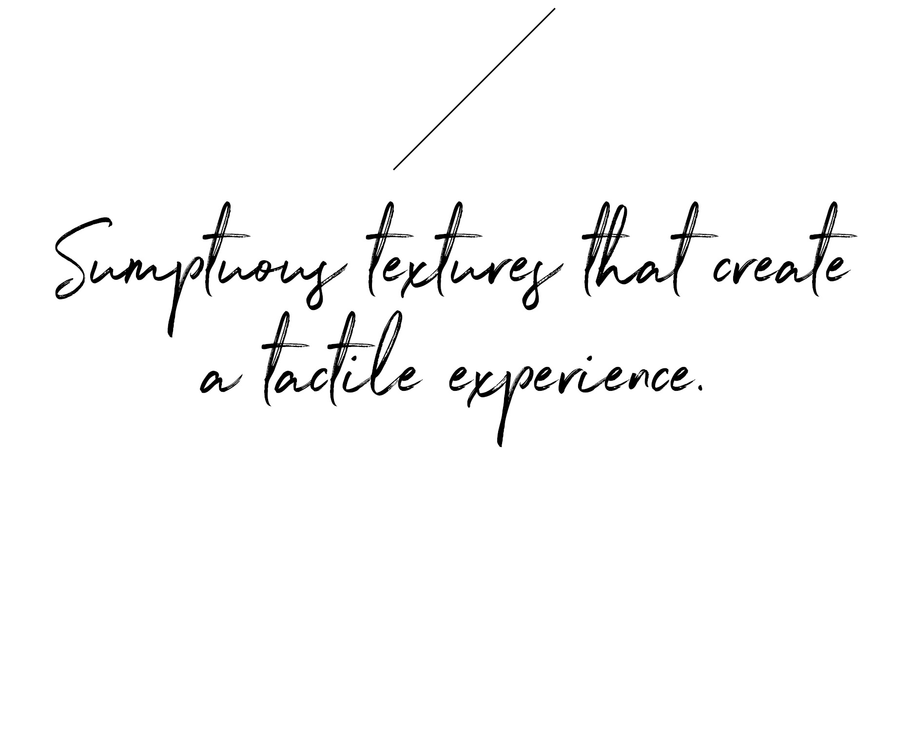 Pollack The Pollack Spring 2024 Collection